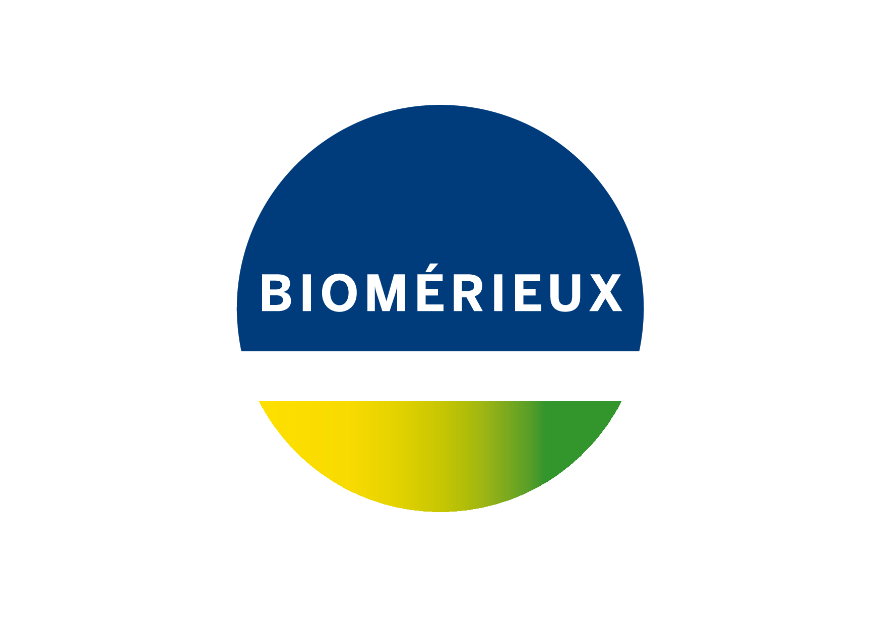 Biom Rieux Careers Continuous Improvement Engineer