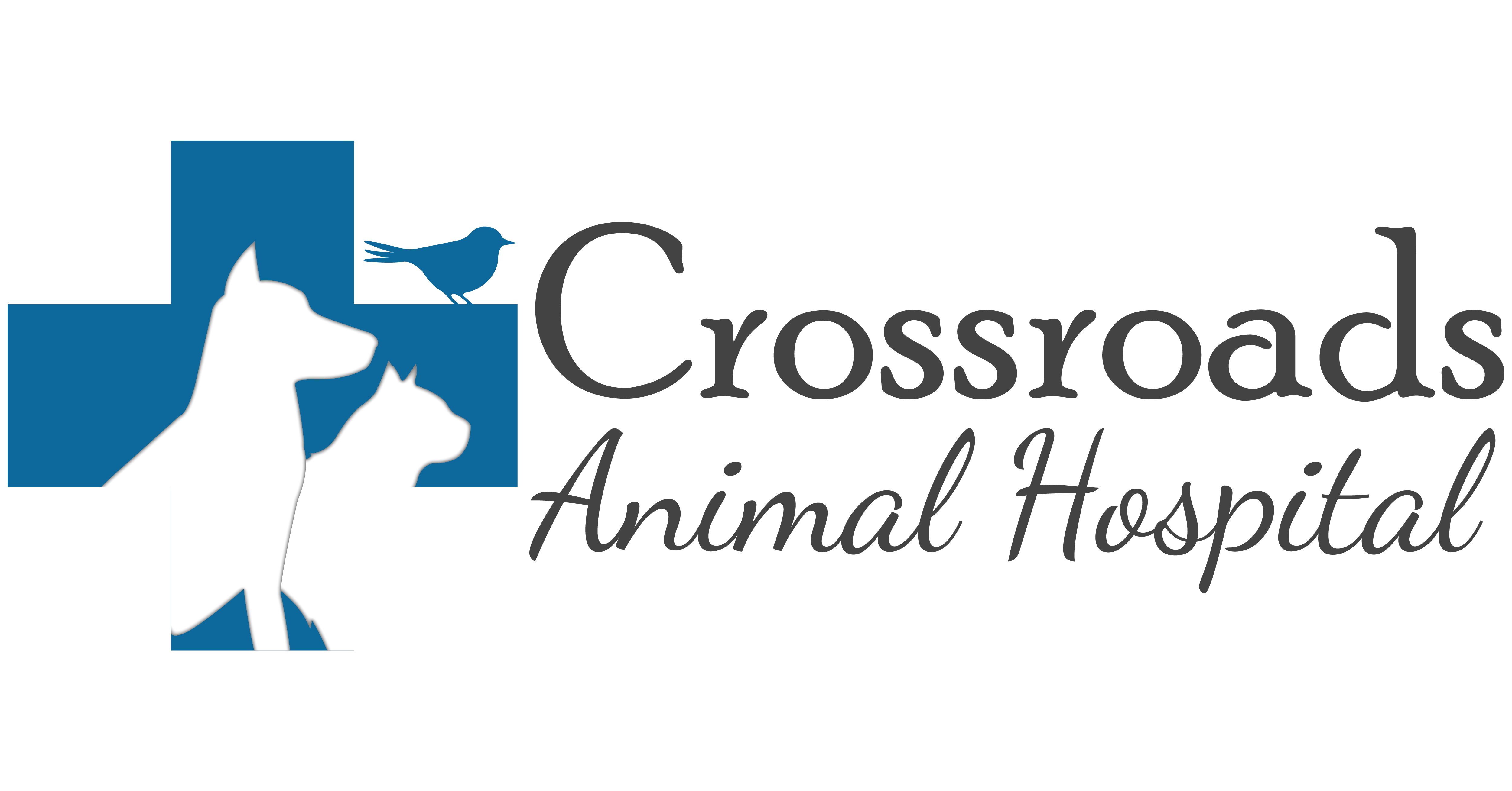 Crossroads Animal Hospital logo