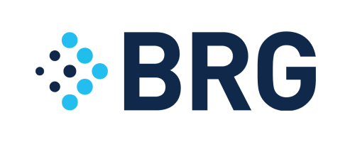 Berkeley Research Group