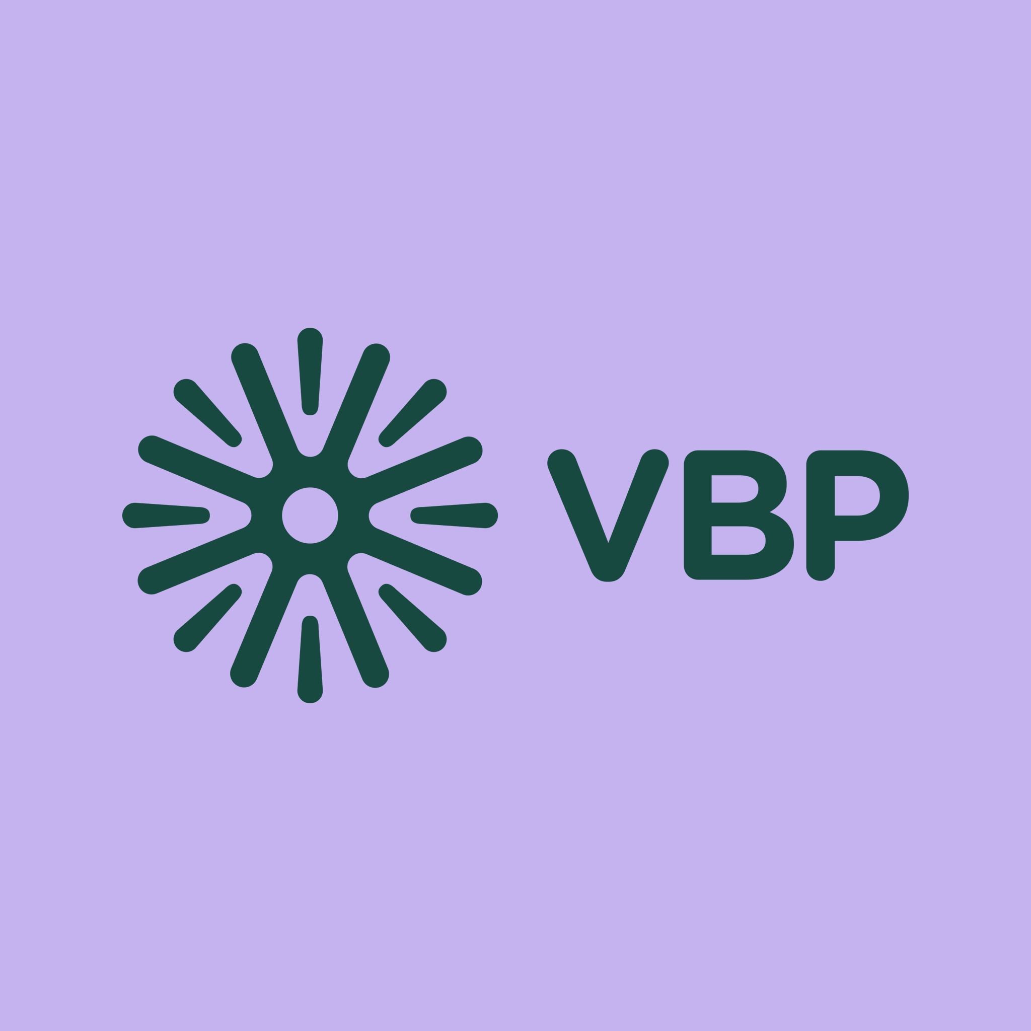 VBP Careers - IT Support