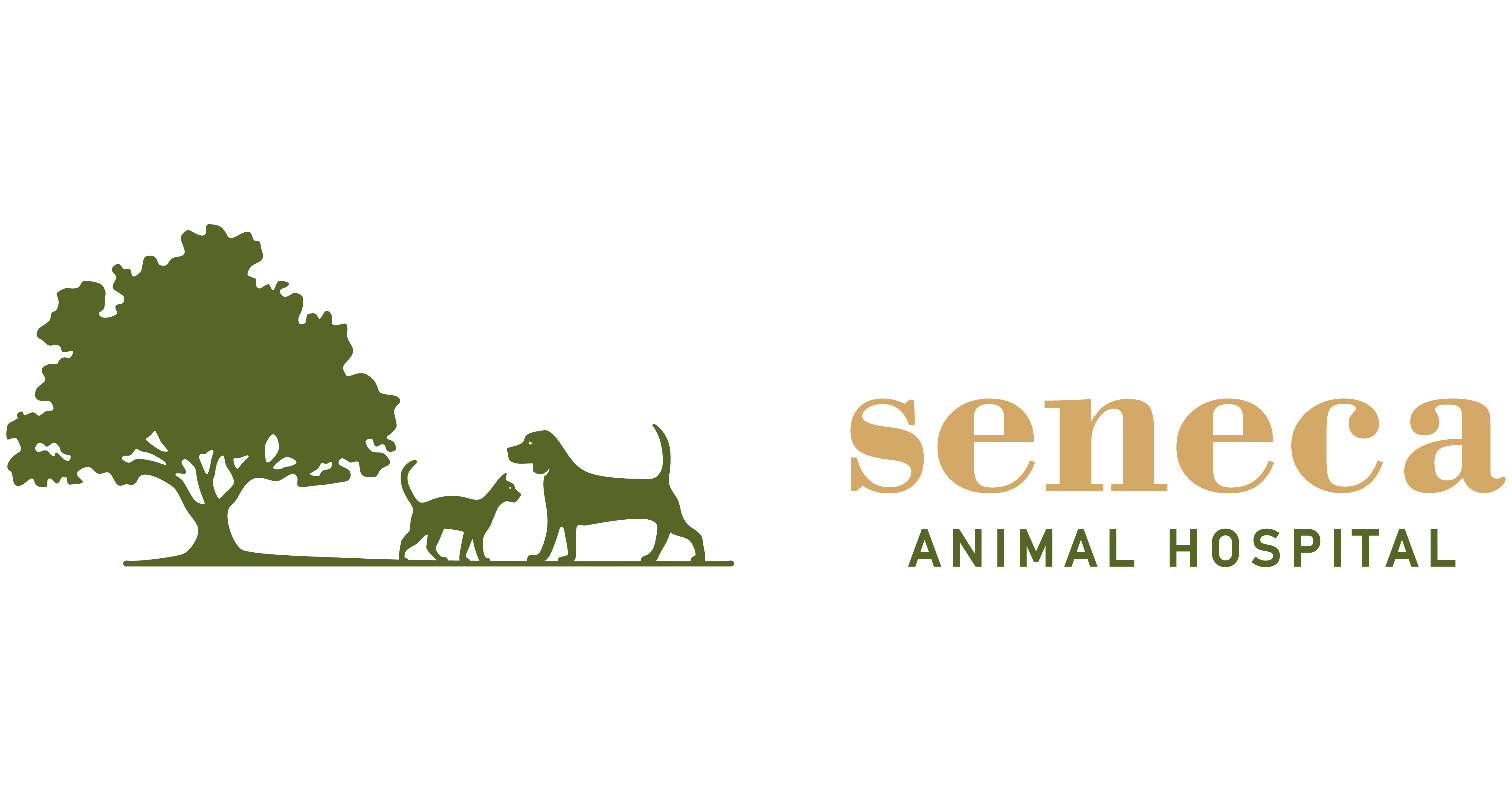 seneca animal hospital louisville ky