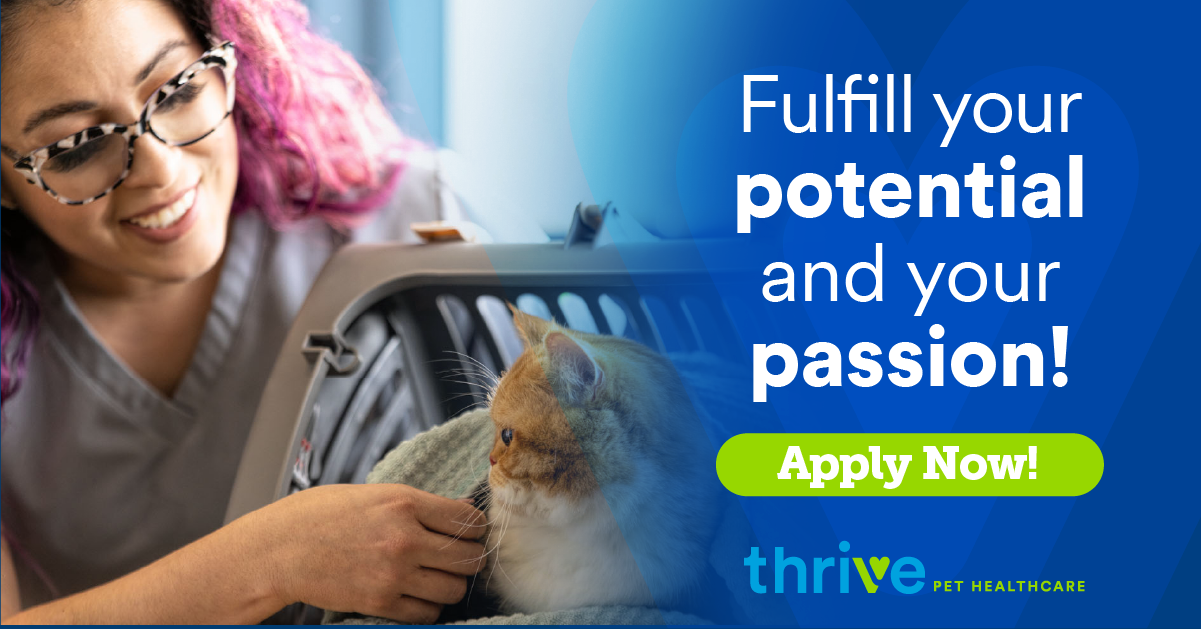 Thrive Pet Healthcare Careers - Relief Veterinarian