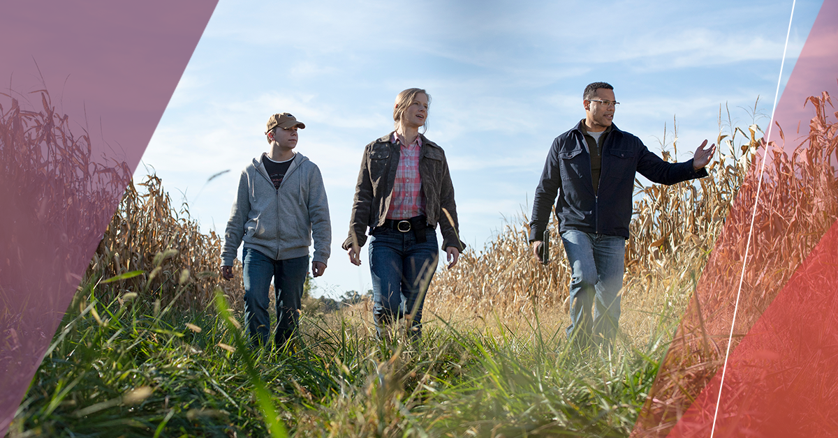 Bayer Careers Principal UX Designer Cab